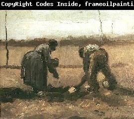 Vincent Van Gogh Peasant and Peasant Woman Planting Potatoes